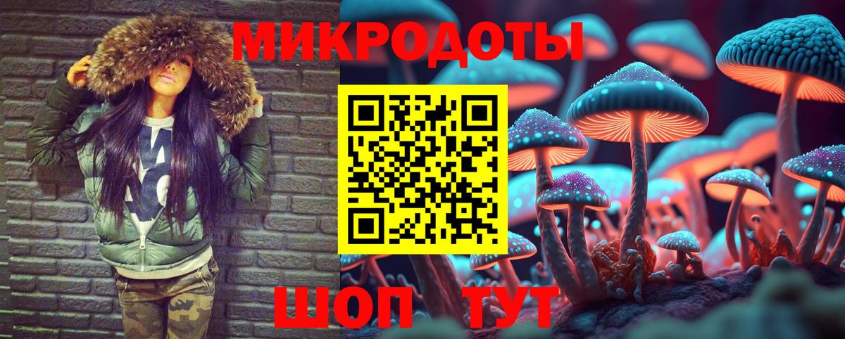 Псилоцибиновые грибы мицелий  даркнет сайт  Котовск  Вход с VPN 